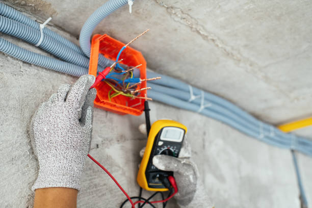 Best Electric Panel Repair  in Platte City, MO